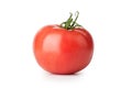 One fresh red tomato Royalty Free Stock Photo