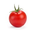 One fresh red tomato isolated Royalty Free Stock Photo