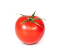 One Fresh Red Tomato Royalty Free Stock Photo