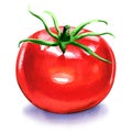 One fresh red tomato isolated on white