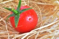 One Fresh red tomato Royalty Free Stock Photo