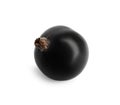 One fresh ripe blackcurrant isolated on white Royalty Free Stock Photo