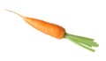 One fresh ripe carrot isolated on white Royalty Free Stock Photo