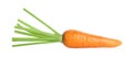 One fresh ripe carrot isolated on white Royalty Free Stock Photo