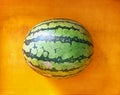 one fresh round watermelon on topdark yellow plastic tray
