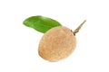 One fresh sapodilla with leaves on white background with clipping path Royalty Free Stock Photo