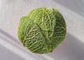 One fresh savoy cabbage isolated on White background Royalty Free Stock Photo