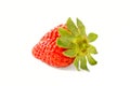 One fresh strawberries close up on white background. Royalty Free Stock Photo