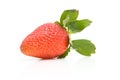 One fresh strawberry Royalty Free Stock Photo
