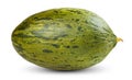 One Fresh whole Piel de sapo melon on white