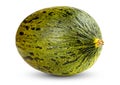 One Fresh whole Piel de sapo melon on white Royalty Free Stock Photo
