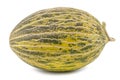 One Fresh whole Piel de sapo melon on white background. Royalty Free Stock Photo