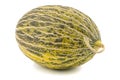 One Fresh whole Piel de sapo melon on white background. Royalty Free Stock Photo