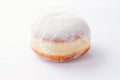 One freshly made doughnuts filled with jam and covered in powdered sugar Royalty Free Stock Photo
