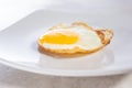 One fried egg plate Royalty Free Stock Photo