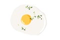 One fried egg with spring onion. Overhead view of isolated eggs. Vector illustration isolated on white background. Flat