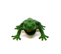 one frog toy made of plastic on a white background. Royalty Free Stock Photo