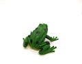 one frog toy made of plastic on a white background. Royalty Free Stock Photo