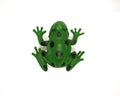 one frog toy made of plastic on a white background. Royalty Free Stock Photo