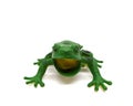 one frog toy made of plastic on a white background. Royalty Free Stock Photo
