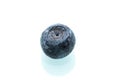 One frozen blueberry. Macro. Royalty Free Stock Photo