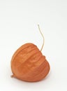 One fruit of physalis on a white background Royalty Free Stock Photo