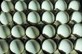 Full box of white shell eggs for sale Royalty Free Stock Photo