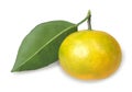 One full fruit of yellow tangerine with green leaf