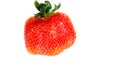 One funny looking strawberry showing its seed off Royalty Free Stock Photo