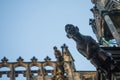 One of gargoyles of St. Vitus cathedral in Prague Royalty Free Stock Photo