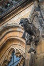 One of gargoyles of St. Vitus cathedral in Prague Royalty Free Stock Photo