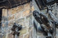 One of gargoyles of St. Vitus cathedral in Prague Royalty Free Stock Photo