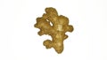One ginger root white background, close up picture. Royalty Free Stock Photo