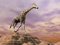 Giraffe observing on a dune - 3D render Royalty Free Stock Photo