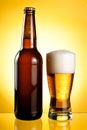 One glass and Bottle of fresh light beer Royalty Free Stock Photo