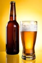 One glass and Bottle of fresh light beer Royalty Free Stock Photo