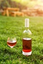 One glass and bottle of red or rose wine in autumn vineyard in green grass. Harvest time, picnic, fest theme. Royalty Free Stock Photo