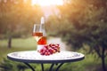 One glass and bottle of rose wine in autumn vineyard on marble table Royalty Free Stock Photo