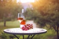 One glass and bottle of rose wine in autumn vineyard on marble table Royalty Free Stock Photo