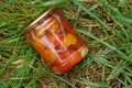 One glass jar with red canned tomatoes lies on green grass Royalty Free Stock Photo