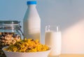 One glass of milk and milk bottle with blank label put on wood table near bowl of cereal with spoon. Calcium food breakfast Royalty Free Stock Photo