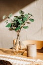 A vase with eucalyptus branches and a candle on the table. Royalty Free Stock Photo