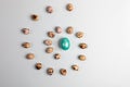 One glossy painted turquoise Easter egg and quail eggs laid out spirally around it on light grey Royalty Free Stock Photo