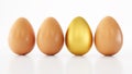 One gold egg in a pack isolated on white background, One golden egg among white eggs Royalty Free Stock Photo