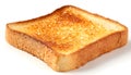 One golden brown slice of toasted bread, plain and isolated on a white background Royalty Free Stock Photo