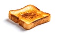 One golden brown slice of toasted bread, plain and isolated on a white background Royalty Free Stock Photo