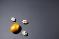 One golden egg lies on a black background, next to it are natural three quail eggs, horizontal background, minimalism trend black Royalty Free Stock Photo