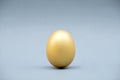 One golden egg that stands out, showing leadership, and business success strategies Royalty Free Stock Photo