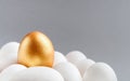 One golden egg among white eggs on gray background. Royalty Free Stock Photo