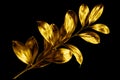 One Golden Leaves Branch On Black Background Isolated Closeup, Decorative Gold Color Plant Sprig, Yellow Shiny Metallic Twig